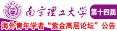 狂肏你的流水大骚逼视频南京理工大学第十四届海外青年学者紫金论坛诚邀海内外英才！